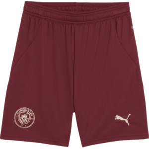 Manchester City Stadium Away 2024/25 kép