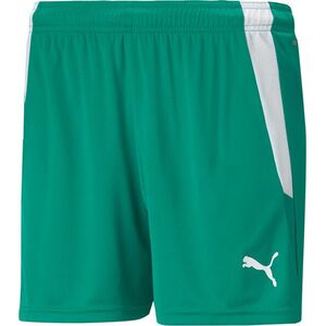 teamLIGA Shorts W kép