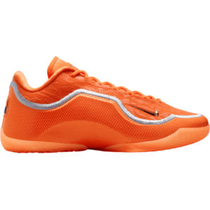 LeBron XXII kép