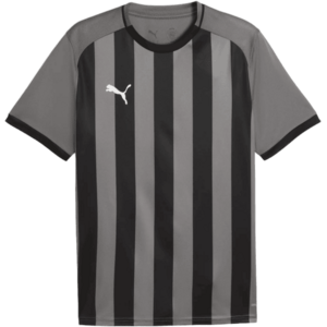 teamLIGA26 Striped kép