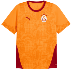 Galatasaray Istanbul Training Jersey kép