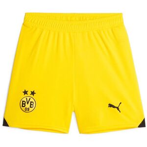 BVB Shorts Replica Jr 2023/24 kép