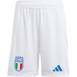 FIGC H SHO Y 2024 kép