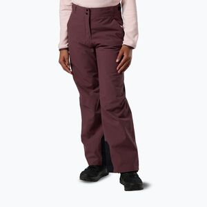 Gyerek sínadrág Rossignol Insulated huckleberry (Insulated RLOYP01A87) kép