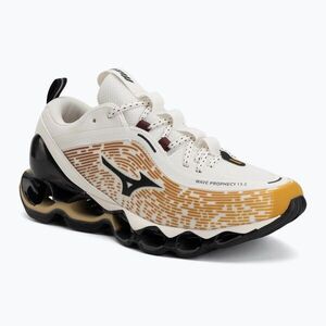 Cipők Mizuno Wave Prophecy 13.2 Harvest Gold/Black/Snow White (Wave Prophecy 13.2 D1GA260H02) kép