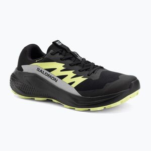 Férfi futócipő Salomon Alphaglide GTX fekete/ötvözet/éles zöld (Alphaglide GTX L47802000) kép