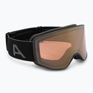 Síszemüveg Alpina Venet QV black matt/gold (Venet QV A7312731) kép