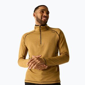 Férfi polár pulóver REGATTA Yonder II wood brown (Yonder II RMA606-ZIQ) kép