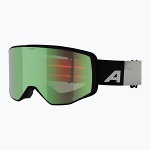 Síszemüveg Alpina Venet Q-Lite black/green matt (Venet Q-Lite A7314812) kép