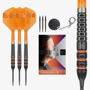 Darts szett steel TARGET Raymond Van Barneveld 95K Swiss Points, 23g 95% kép