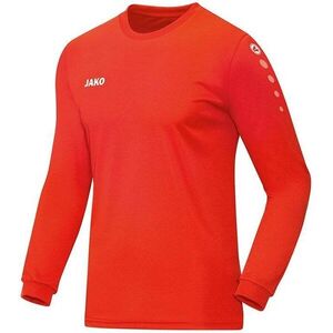 jako team jersey kép
