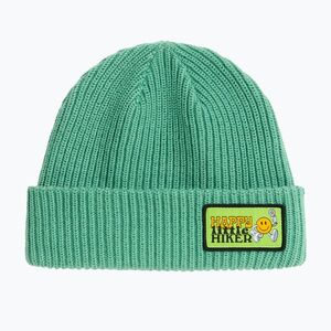 Téli sapka The North Face Salty Lined dimmed algae/hi (Salty Lined NF0A8CGSW9V1) kép