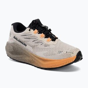 Női futócipők Salomon Aero Blaze 4 GRVL GTX rainy day/black (Aero Blaze 4 Gravel GTX L45404000) kép