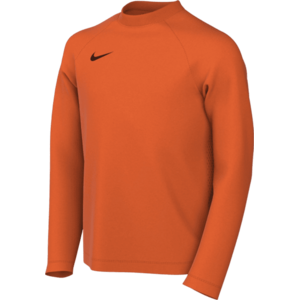 Dri-FIT Park VIII Long Sleeve Kids kép
