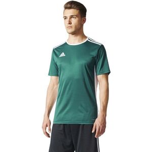 adidas ENTRADA 18 JSYY Fiú futball mez, zöld, méret kép