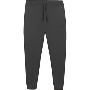 CASTORE FLEX JOGGER Férfi sportos jogger nadrág, szürke, méret kép