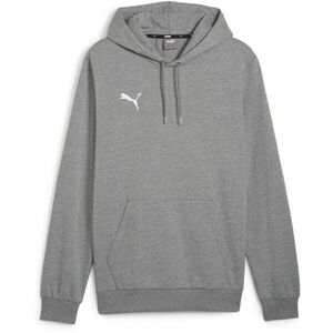 Puma TEAMGOAL 23 CASUALS HOODY Férfi pulóver focihoz, szürke, méret kép