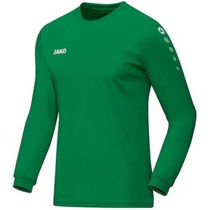 jako team jersey kép