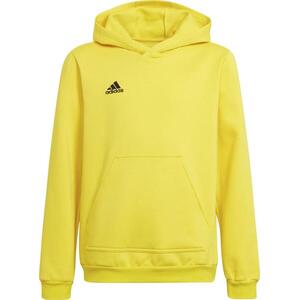 ENT22 HOODY Y kép