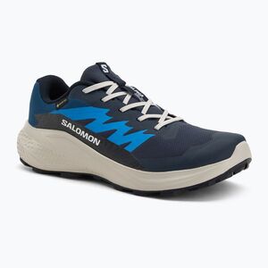 Férfi futócipő Salomon Alphaglide GTX blue night/lunar rock/french blue (Alphaglide GTX L47975100) kép
