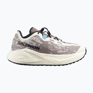 Férfi futócipő Salomon Aero Glide 4 GRVL vanilla ice/black/iron (Aero Glide 4 GRVL L49174900) kép