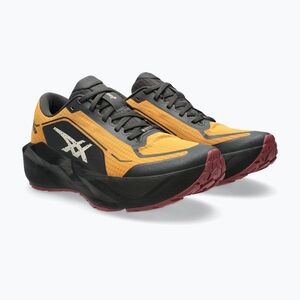 Férfi futócipők ASICS Novablast 6 GTX sandstorm/black (Novablast 6 1011C256-800) kép
