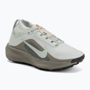 Női futócipők Nike ACG Pegasus Trail GORE-TEX Light Silver/Light Army/Light Silver (ACG Pegasus Trail GORE-TEX IQ1394-002) kép