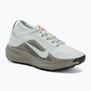 Férfi futócipők Nike ACG Pegasus Trail GORE-TEX Light Silver/Light Army/Light Silver (ACG Pegasus Trail GORE-TEX IQ1084-003) kép
