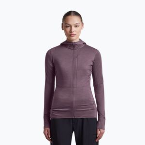 Női túra pulóver Icebreaker Merino 200 Realfleece Descender Half Zip Hoodie grey plum (Merino 200 Realfleece Descender Half Zip IB0A57QK0N11) kép