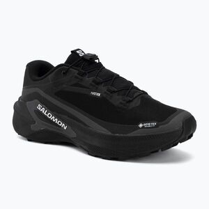 Férfi futócipők Salomon Genesis 2 GTX black/black (Genesis 2 GTX L49300300) kép