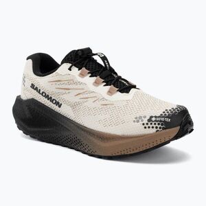 Férfi futócipők Salomon Aero Blaze 4 GRVL GTX vanilla ice/black (Aero Blaze 4 Gravel GTX L45403200) kép