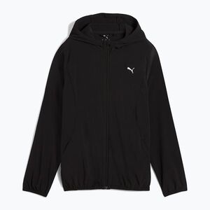Puma kép