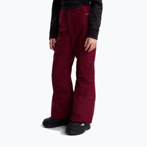 Gyerek sínadrág The North Face Freedom Insulated burgundy crush (Freedom Insulated NF0A8H4YMVO1) kép