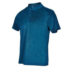 Férfi edzőpóló rövid ujjú ANTA SS Polo-MEN-85927117-1-Q219-Green kép