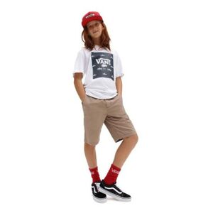 Fiú póló rövid ujjú VANS BY PRINT BOX BOYS-WHITE-DRESS BLUES kép