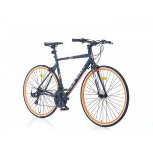 Fitbike Zero kép