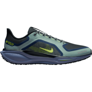 Pegasus 41 GORE-TEX kép