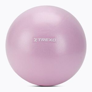 Mini gimnasztikai labda XTREXO TXO-B4Z011-VT 25 cm lila (TXO-B4Z011-VT) kép