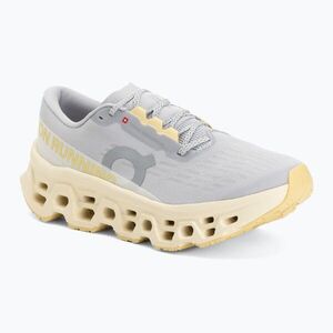 Női futócipők On Cloudmonster 3 glacier/pollen (Cloudmonster 3 3WG10035259) kép
