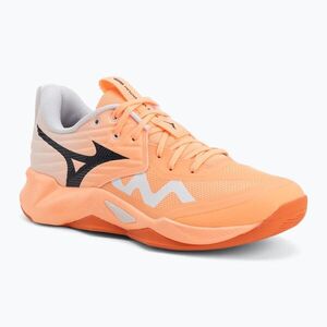 Röplabda cipő Mizuno Wave Momentum Pro flamingo coral/carbon/white (Wave Momentum Pro V1GA254080) kép
