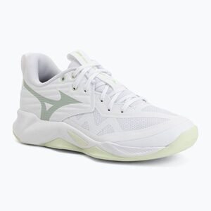 Női röplabda cipő Mizuno Wave Momentum Pro white/aqua gray/ambrosia (Wave Momentum Pro V1GC254085) kép
