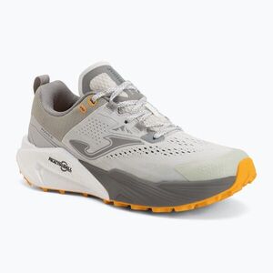 Férfi futócipők Joma Rase beige (Rase TKRASW2625) kép