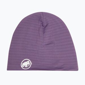 Téli sapka Mammut Taiss Beanie paloja (Taiss 1191-02160-6462) kép