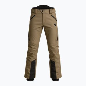 Férfi sínadrág Dainese Speed Demon Lab Pro 2.0 kaki (Speed Demon Lab Pro 2.0 2047600037) kép