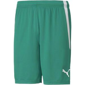 teamLIGA Shorts kép