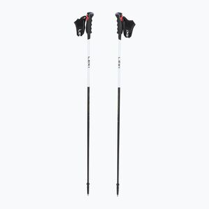 Síbot női LEKI Carbon 14 3D natural carbon/ white/ gold (Carbon 14 3D Women 65368801) kép