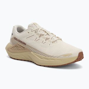 Férfi futócipő Salomon Drx Defy GRVL vanília ice/green haze/white pepper (Drx Defy GRVL L47809600) kép