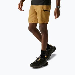 Férfi trekking rövidnadrág REGATTA Leesville III wood brown (Leesville III RMJ319-ZIQ) kép