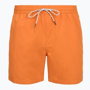 Rövidnadrágok fürdő férfi Billabong All Day Layback clay orange (All Day Layback EBYJV00134-NML0) kép