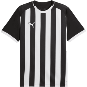 teamLIGA26 Striped kép